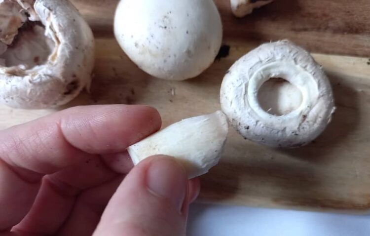 Funghi Champignon Ripieni Senza Carne Sfiziosi E Veloci Donne Sul Web