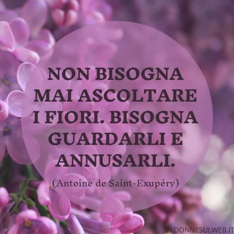 Frasi Sui Fiori Le 50 Più Belle Donne Sul Web 5344